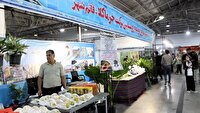 برپایی نمایشگاه روستا آباد مازندران با ۲۰۰ غرفه در قائم‌شهر