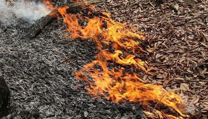 اطفای فوری حریق در جنگل کهنه‌ده کجور