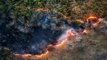 گسترده ترین عملیات مهار آتش سوزی جنگل الیت چالوس