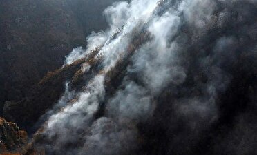 عاملان احتمالی آتش‌سوزی الیت تاکنون شناسایی نشدند