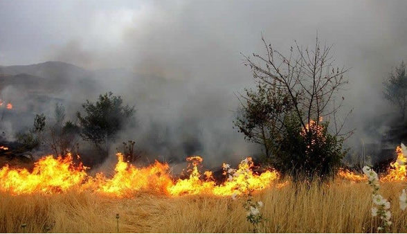 حریق جنگل‌ اشکته‌چال رامسر مهار شد؛ لزوم مشارکت دهیاران برای حفاظت از جنگل