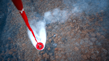 مهار آتش در دو جبهه از جنگل‌های الیت