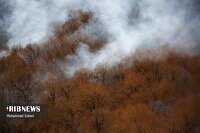 اولویت مهار آتش‌سوزی الیت؛ جلوگیری از پیشروی به سمت شرق