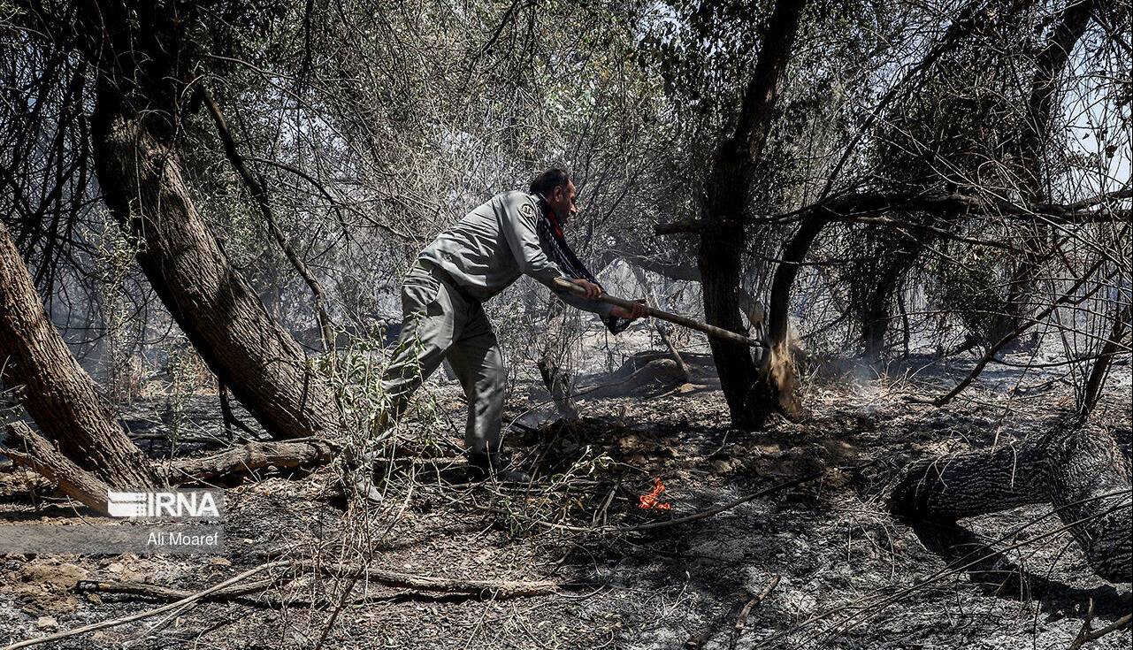 سه هکتار از عرصه جنگلی کارمزد سوادکوه دچار حریق شد