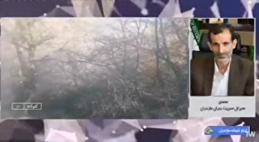 پایان عملیات اطفای آتش در جنگل‌های مازندران