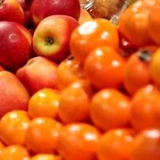 شهیدی‌پور: متوسط تولید مرکبات در باغات بابل ۳۰ تن در هکتار است