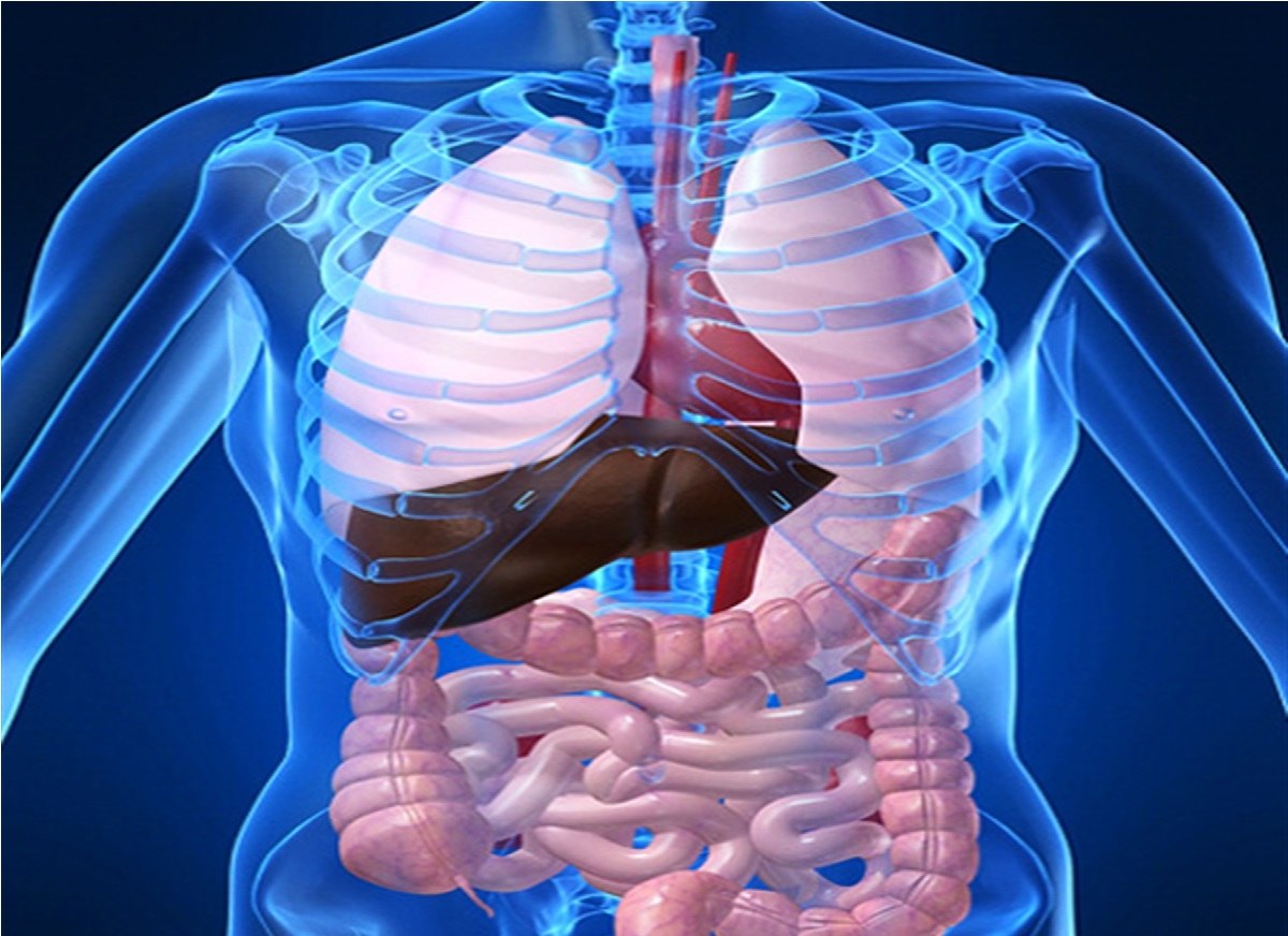 آیا می توان از سرطان های دستگاه گوارش جلوگیری کرد؟