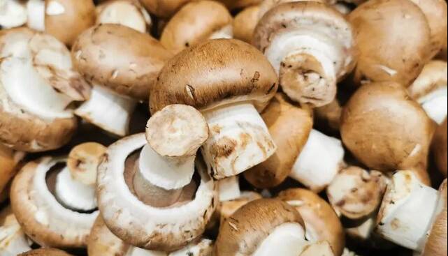 فواید قارچ برای قلب