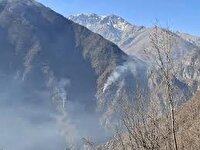 رصد شبانه‌روزی جنگل هیرکانی الیت تا خاموشی کامل