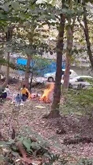 ممنوعیت اقامت شبانه گردشگران در جنگل‌های آمل