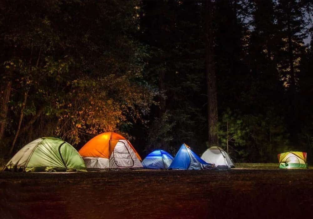 اقامت شبانه در جنگل‌های آمل ممنوع شد