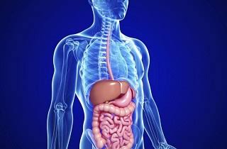 چای کوهی درمانگر گوارش