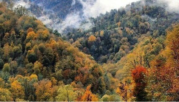 اقامت شبانه در جنگل‌های دوهزار و سه‌هزار ممنوع شد