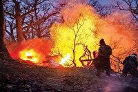 آتش سوزی جنگل‌های هیرکانی در دست بررسی است