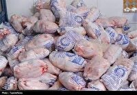 عرضه نامحدود مرغ منجمد با قیمت مصوب در بازار مازندران