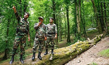 رد زنی قاچاقچیان چوب حتی در خارج از مازندران