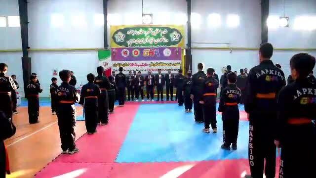 آمل قهرمان مسابقات هاپکیدو مازندران شد