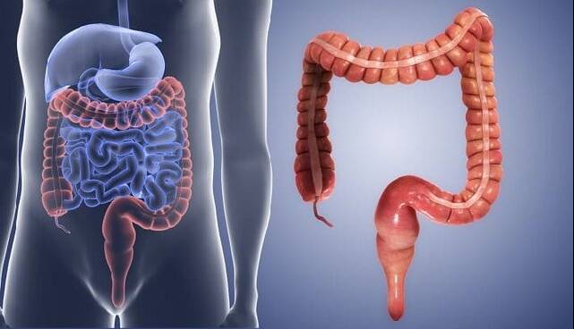 افزایش انسداد گوارشی ناشی از مصرف بی‌رویه «انار» و «خرمالو» در کودکان