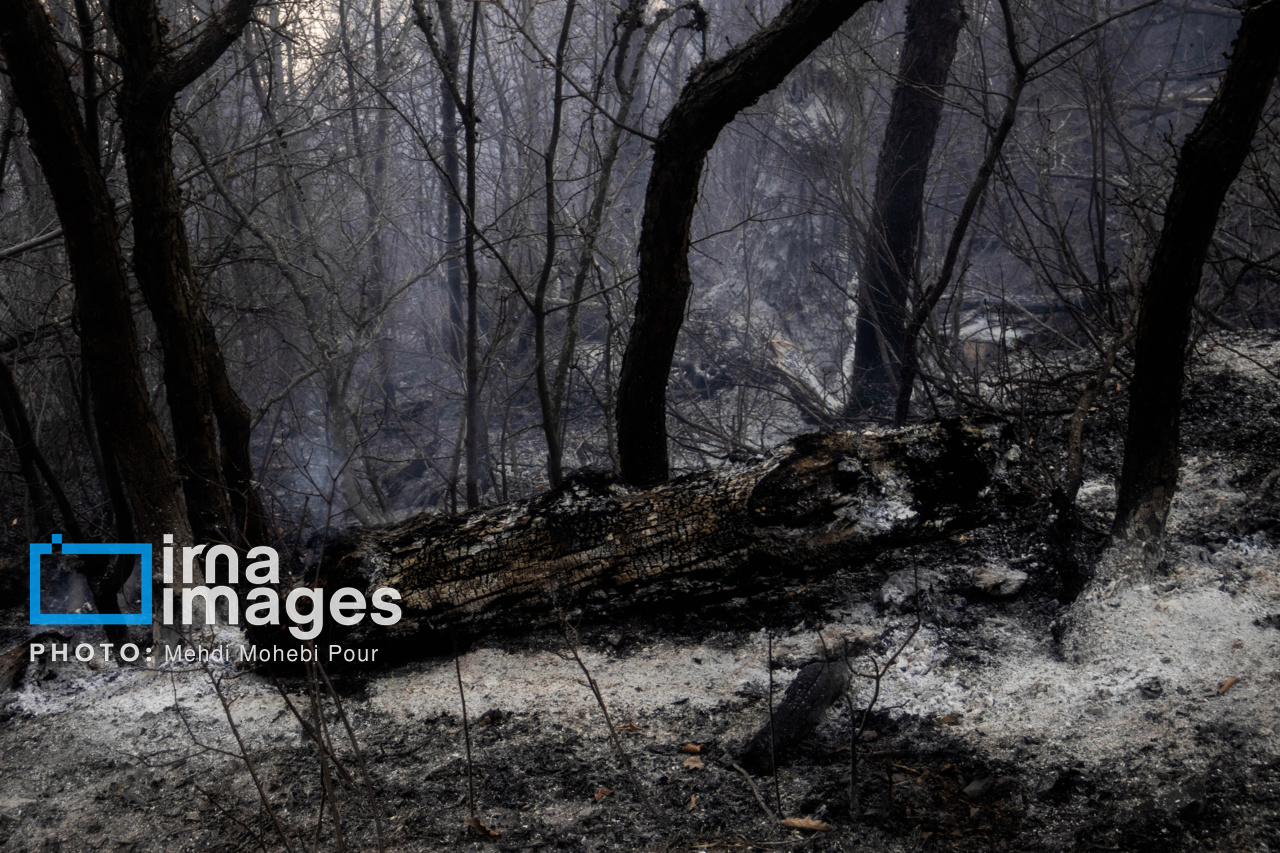 آتش‌سوزی جنگل‌های چورت ساری مهار شد