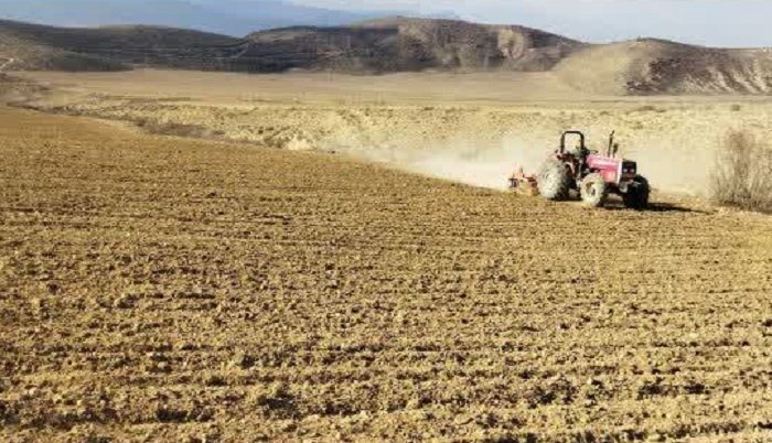 فعال‌سازی مجدد ایستگاه تولید بذر کجور