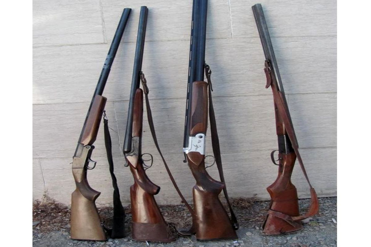 ۱۴ قبضه سلاح و ۵۶ لاشه جانوری در مازندران کشف شد