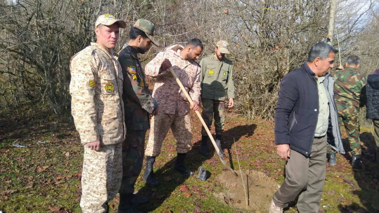 ۳۰۰ نهال در آستانه روز مادر کاشته شد