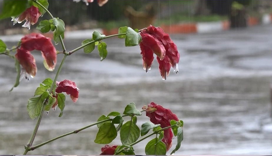 هشدار نارنجی هواشناسی مازندران درباره فعالیت سامانه بارشی