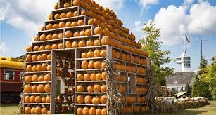 جشنواره کدو در تنکابن