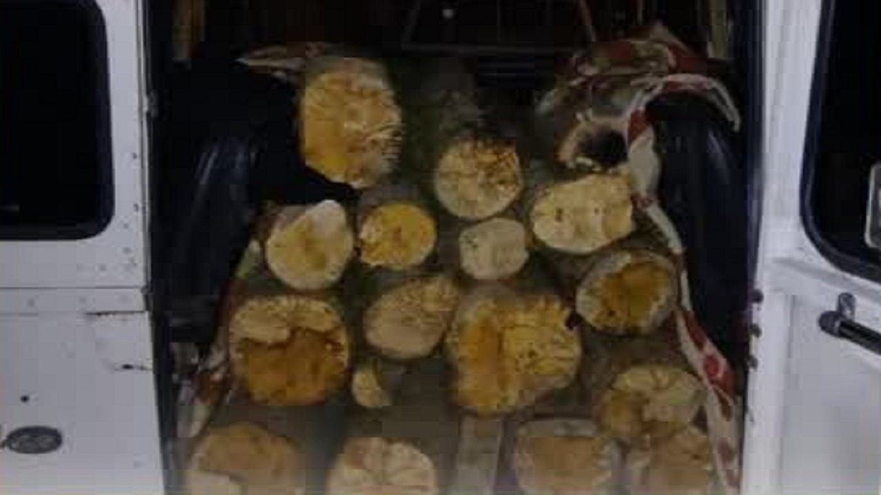 توقیف ۲ لندرور شوتی و کامیون حامل چوب قاچاق در نکا