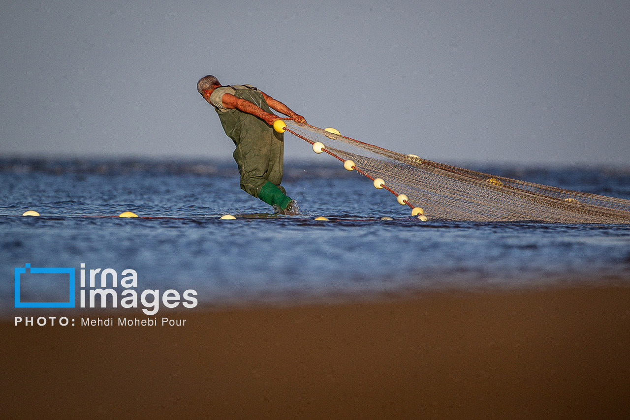 صید ماهی در دریای خزر متوقف شد