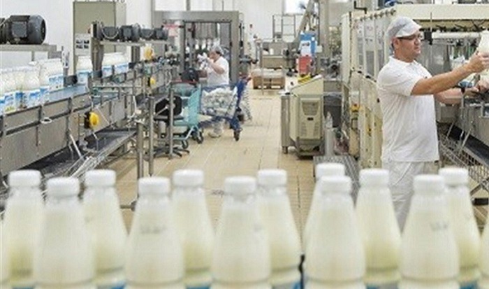 افزایش ۳۳ درصدی صادرات لبنیات