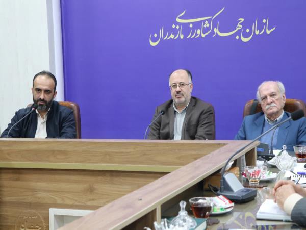 لزوم ایجاد صندوق حمایت برنج و بازنگری در کل زنجیره تولید