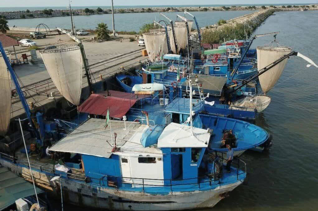 تکثیر و پرورش ماهیان خاویاری در مازندران تقویت شود