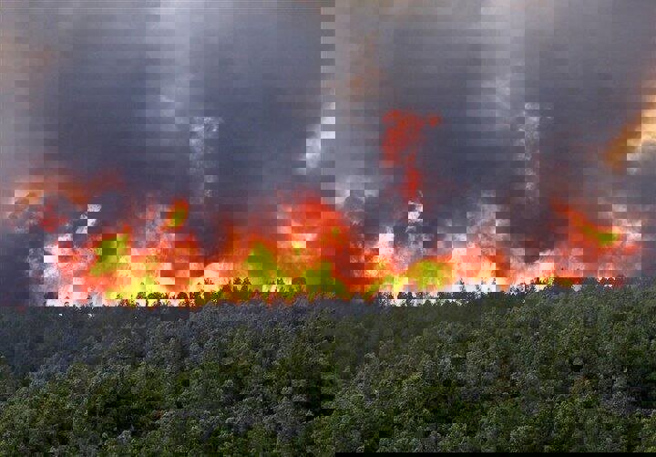 هشدار آتش‌سوزی در جنگل‌های هیرکانی