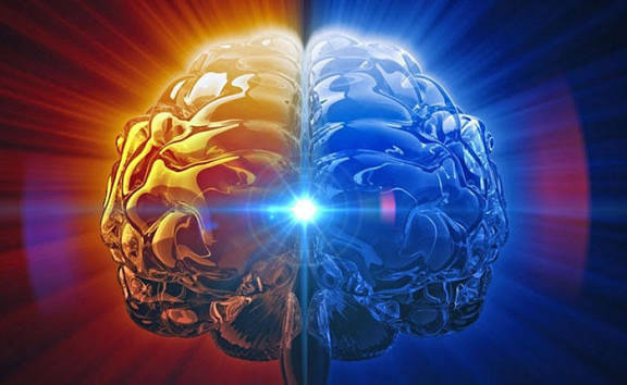 سردی و تری، دشمنان خاموش حافظه