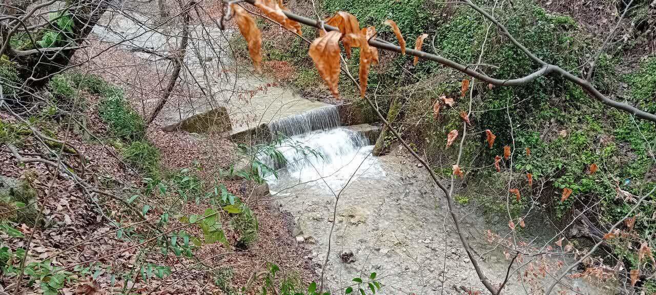 هوای ابری و بارش‌های پراکنده تا آخر هفته در مازندران