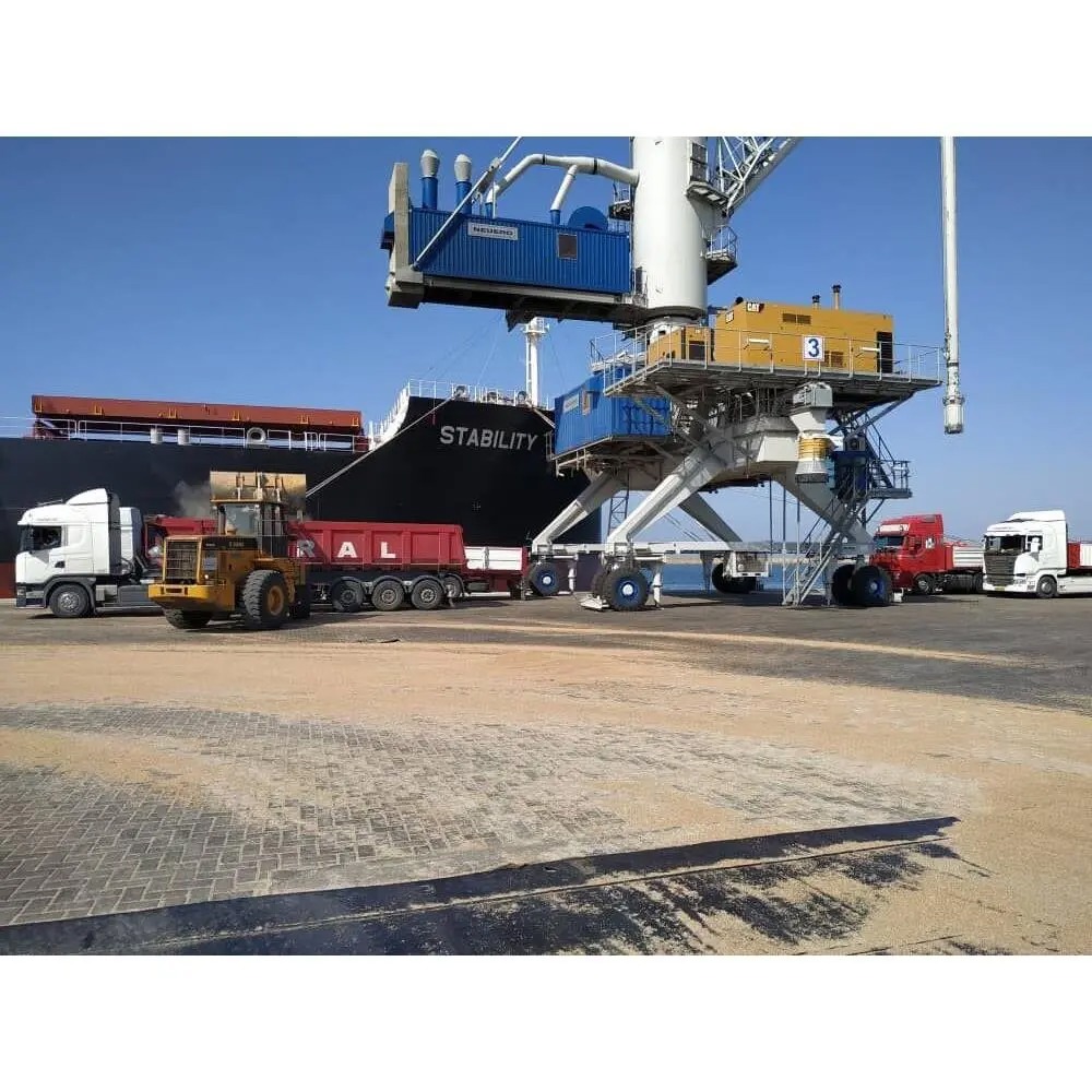 کشتی حامل ۵ هزار تن گندم در ساحل مازندران پهلو گرفت