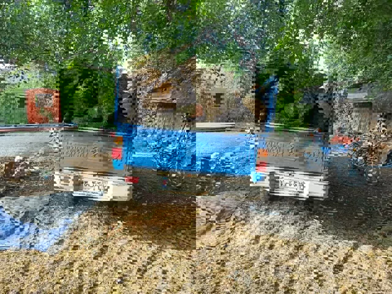 محموله‌های چوب و زغال قاچاق در مازندران توقیف شد