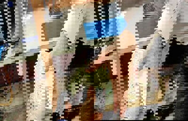 ۳۰۰۰ میلیارد ریال تسهیلات به نیازمندان مازندران پرداخت شد