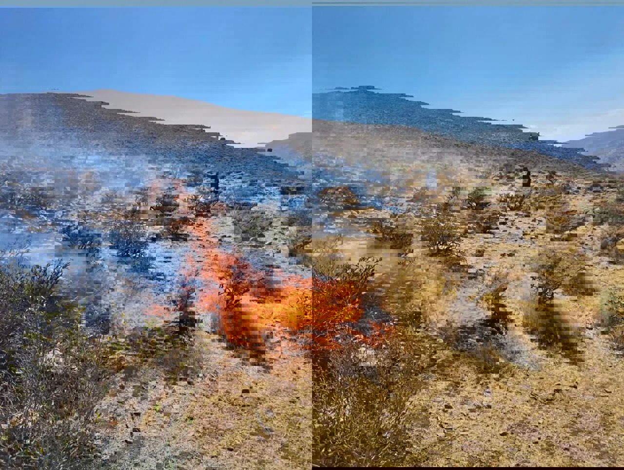 مهار آتش‌سوزی در جنگل‌های مرزن‌آباد؛ لاشبرگ‌ها طعمه حریق شدند