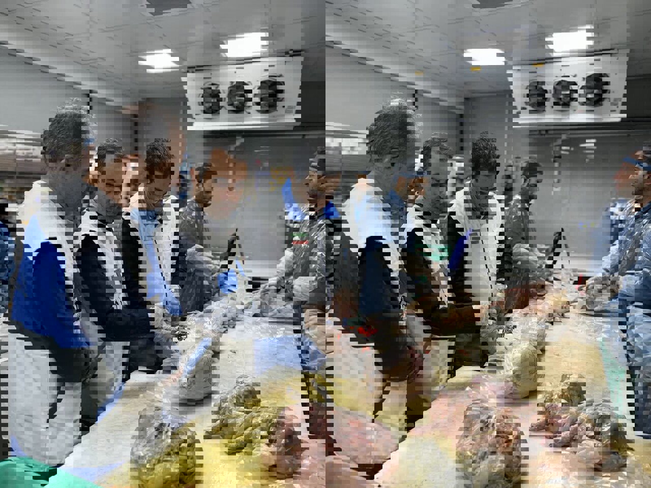 تشدید نظارت دامپزشکی با ۴۷ اکیپ در مازندران