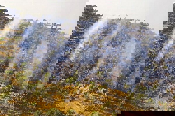 آتش در جنگل‌های هیرکانی خیبوس سوادکوه مهار شد