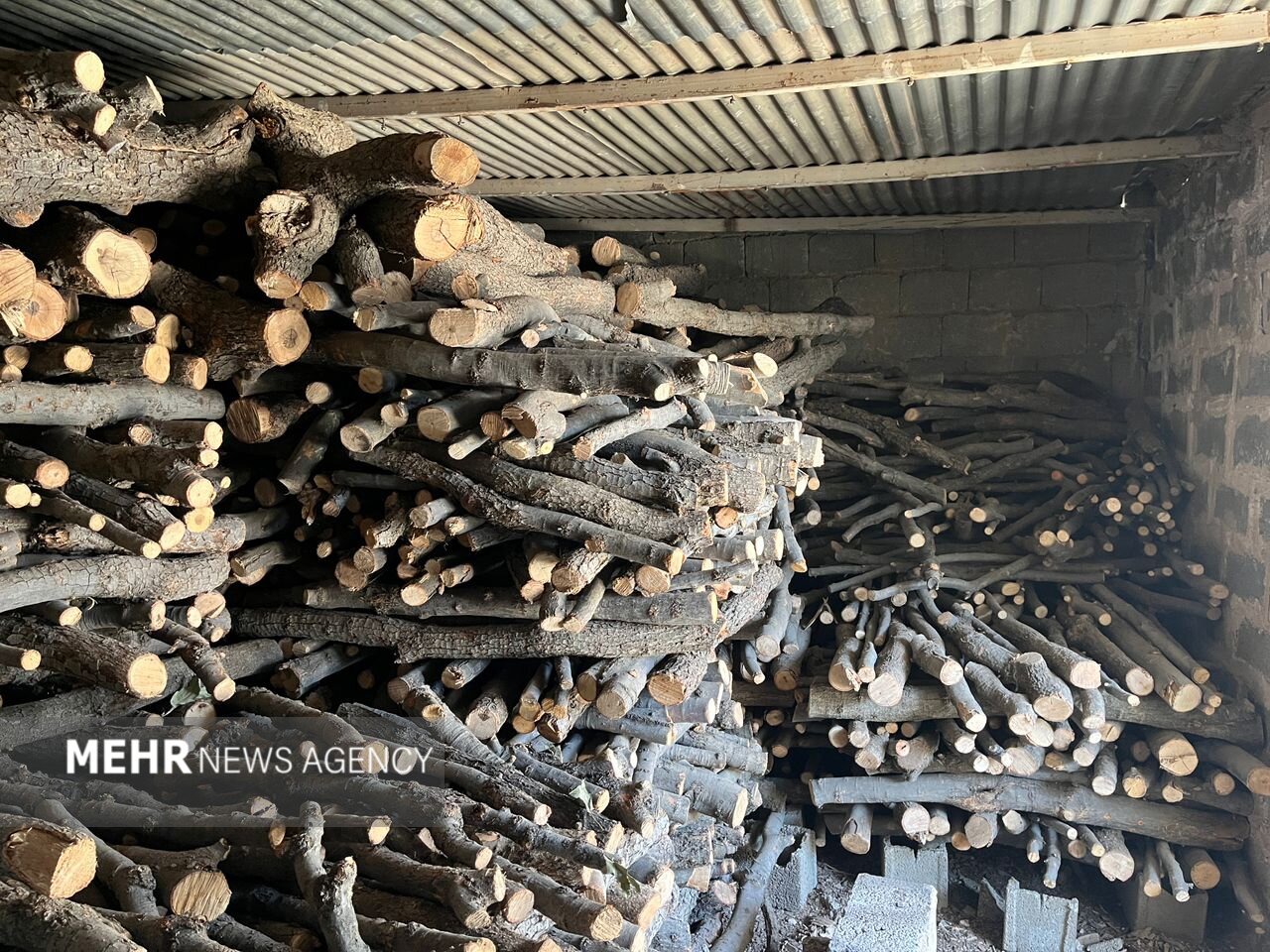 کشف و انهدام باندهای قاچاق چوب در نکا و بابل