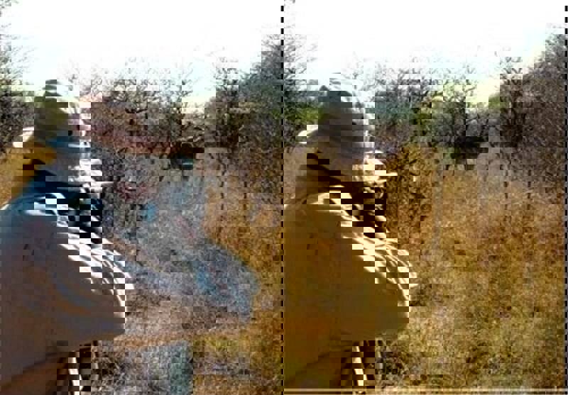 ۲۰ قبضه سلاح شکاری و لاشه انواع جانوران وحشی در مازندران کشف شد