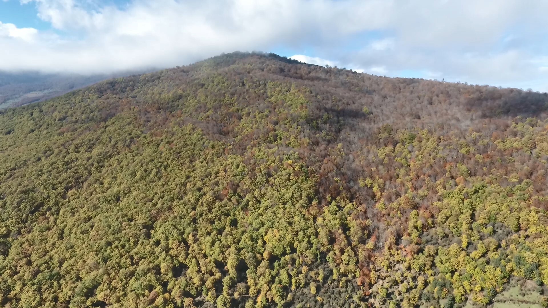هشدار درباره خطر نابودی میراث میلیون‌ساله هیرکانی در نبود تجهیزات