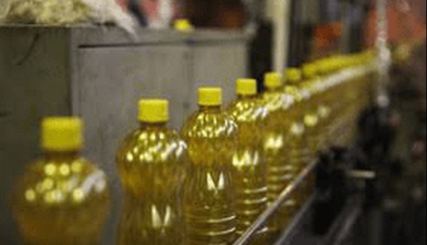 کارخانه دانه طلایی روغن در مازندران افتتاح شده است