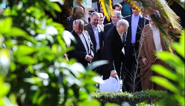 درختکاری پزشکیان در مازندران