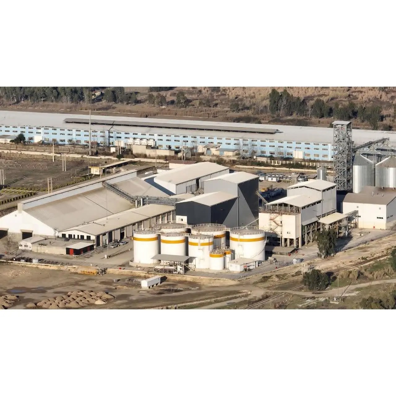 افتتاح بزرگ‌ترین کارخانه استحصال روغن شمال باسرمایه گذاری سه هزار میلیاردی