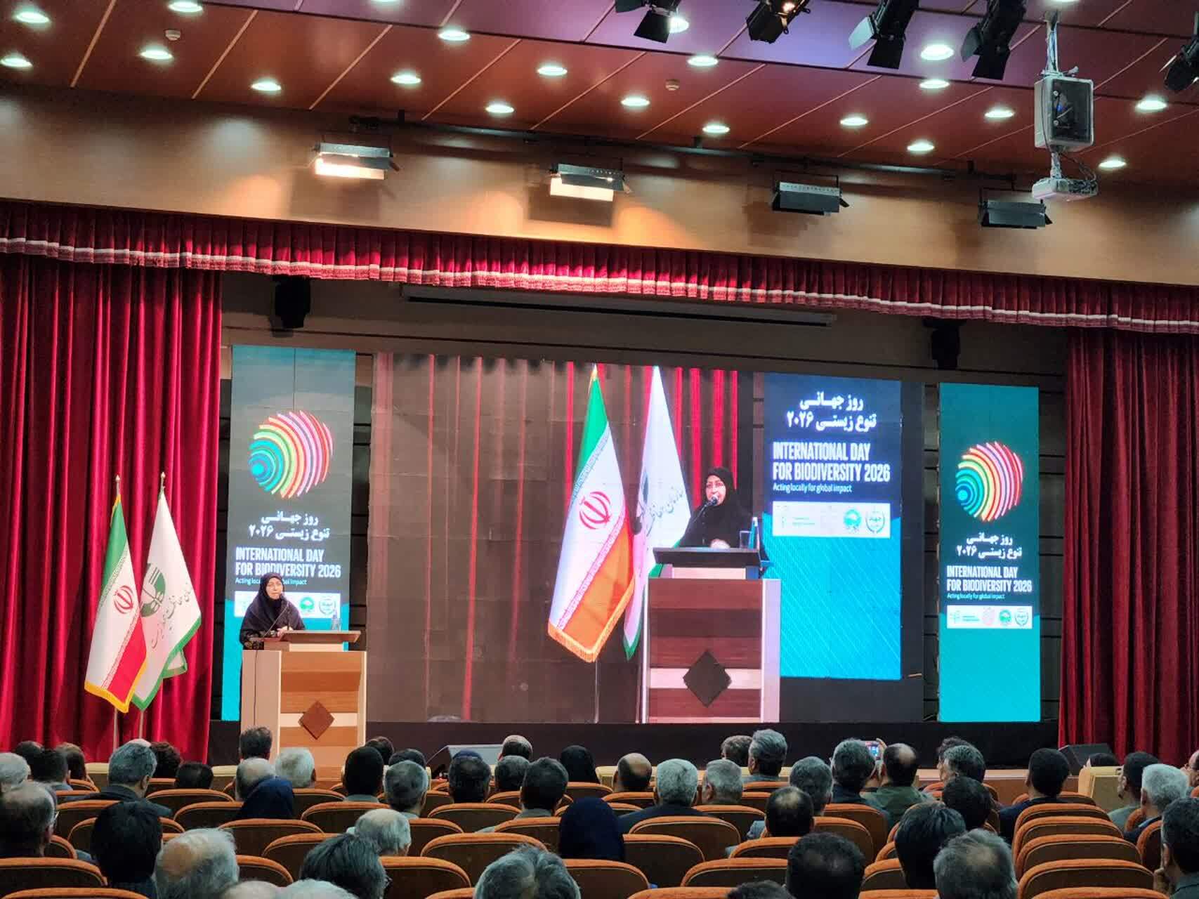 پیام مازند