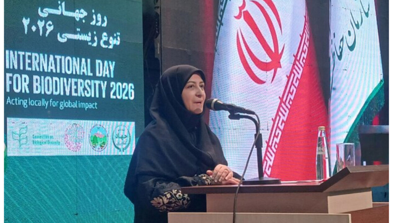 انصاری: توسعه نامتوازن تهدید اصلی تنوع زیستی ایران است